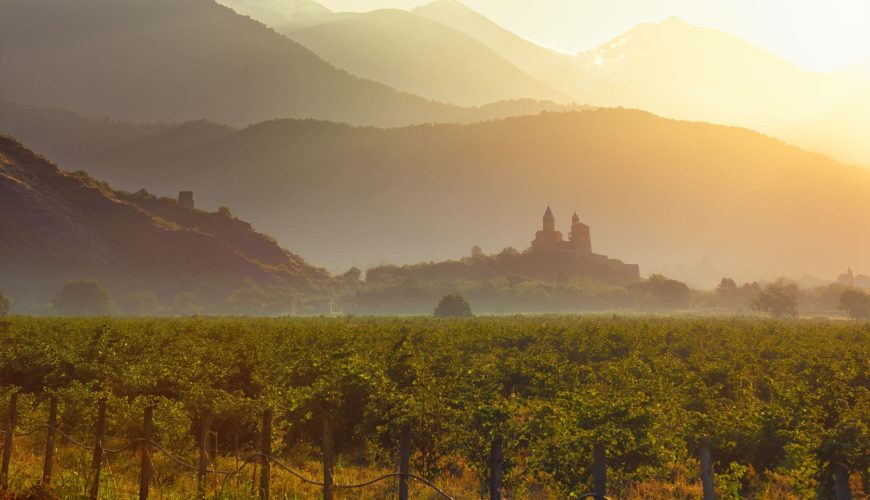 Georgian Wine