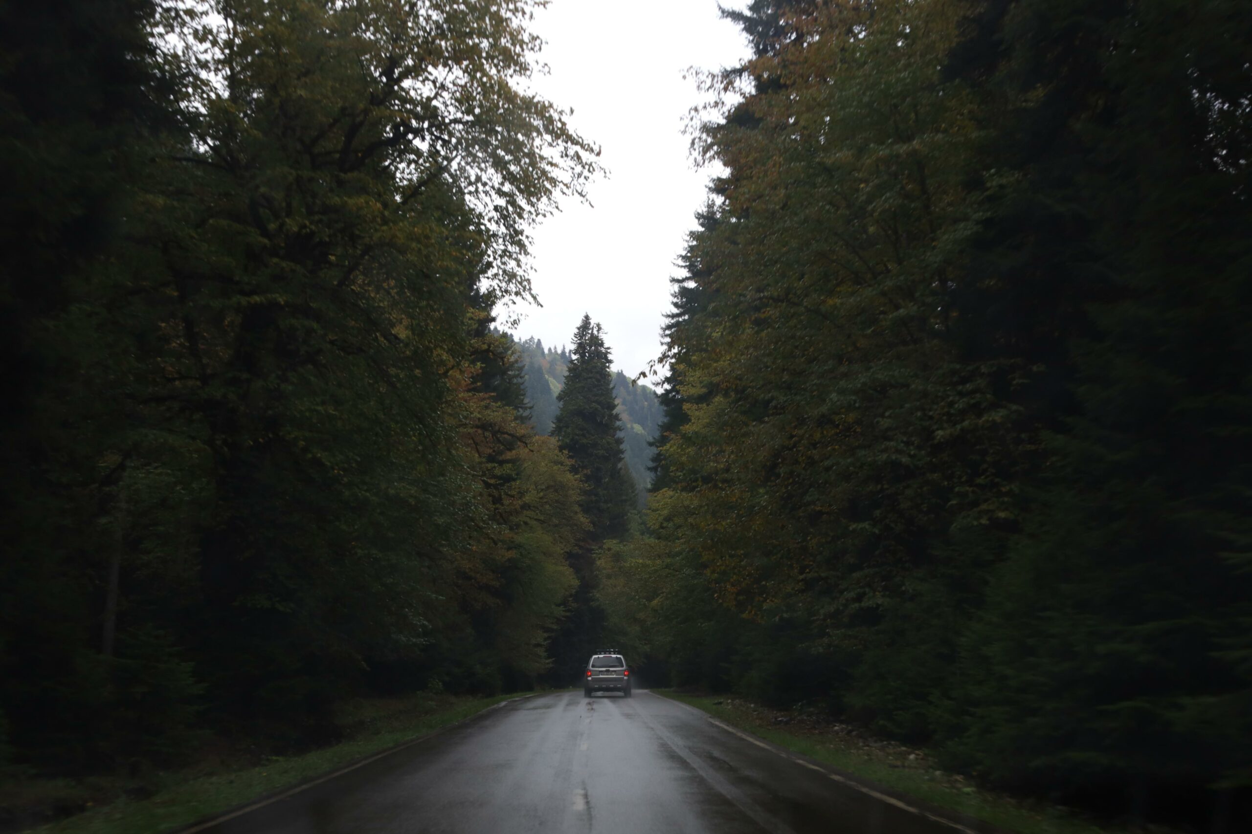 14-Day Grand Tour of Georgia: Discover the Hidden Gems of the Whole Country