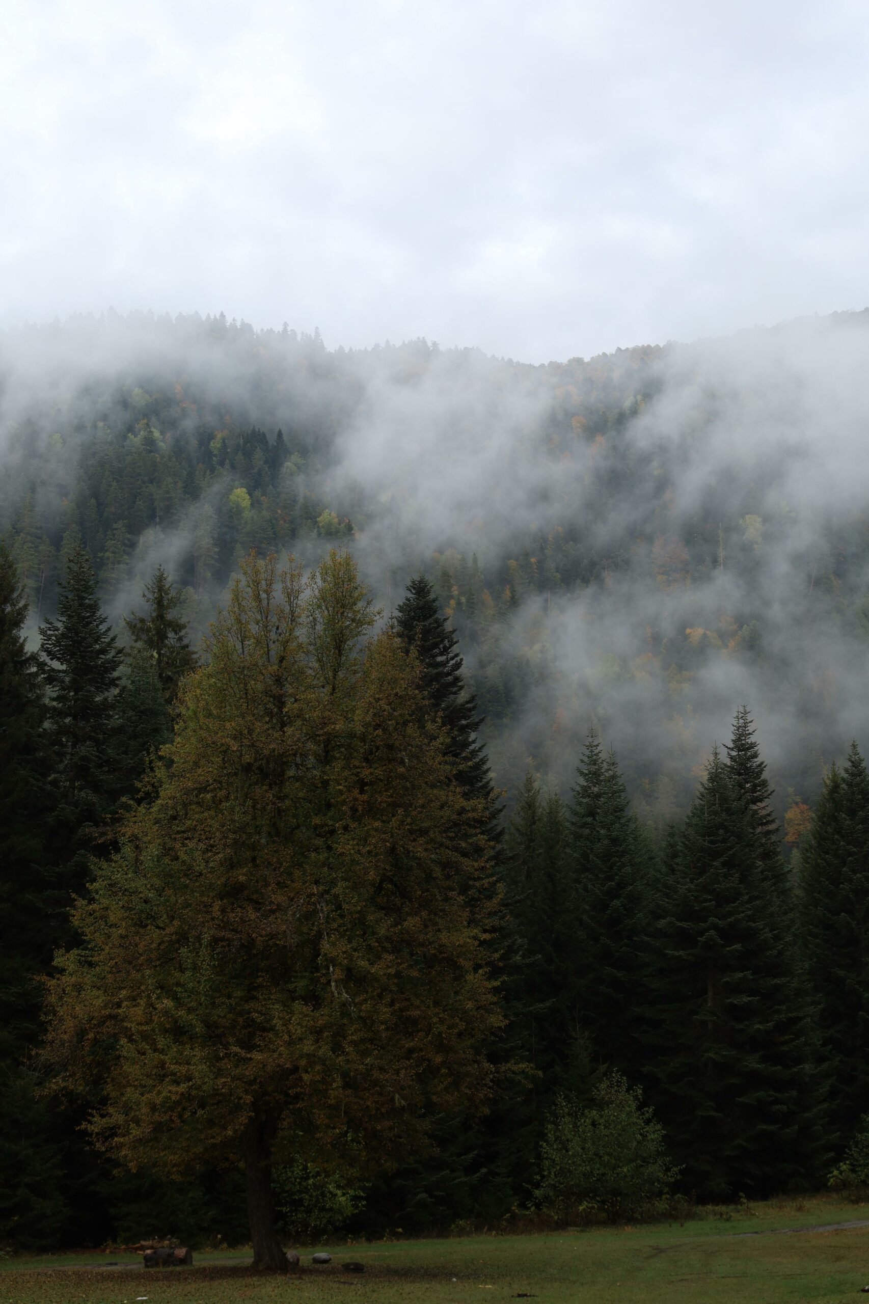 14-Day Grand Tour of Georgia: Discover the Hidden Gems of the Whole Country