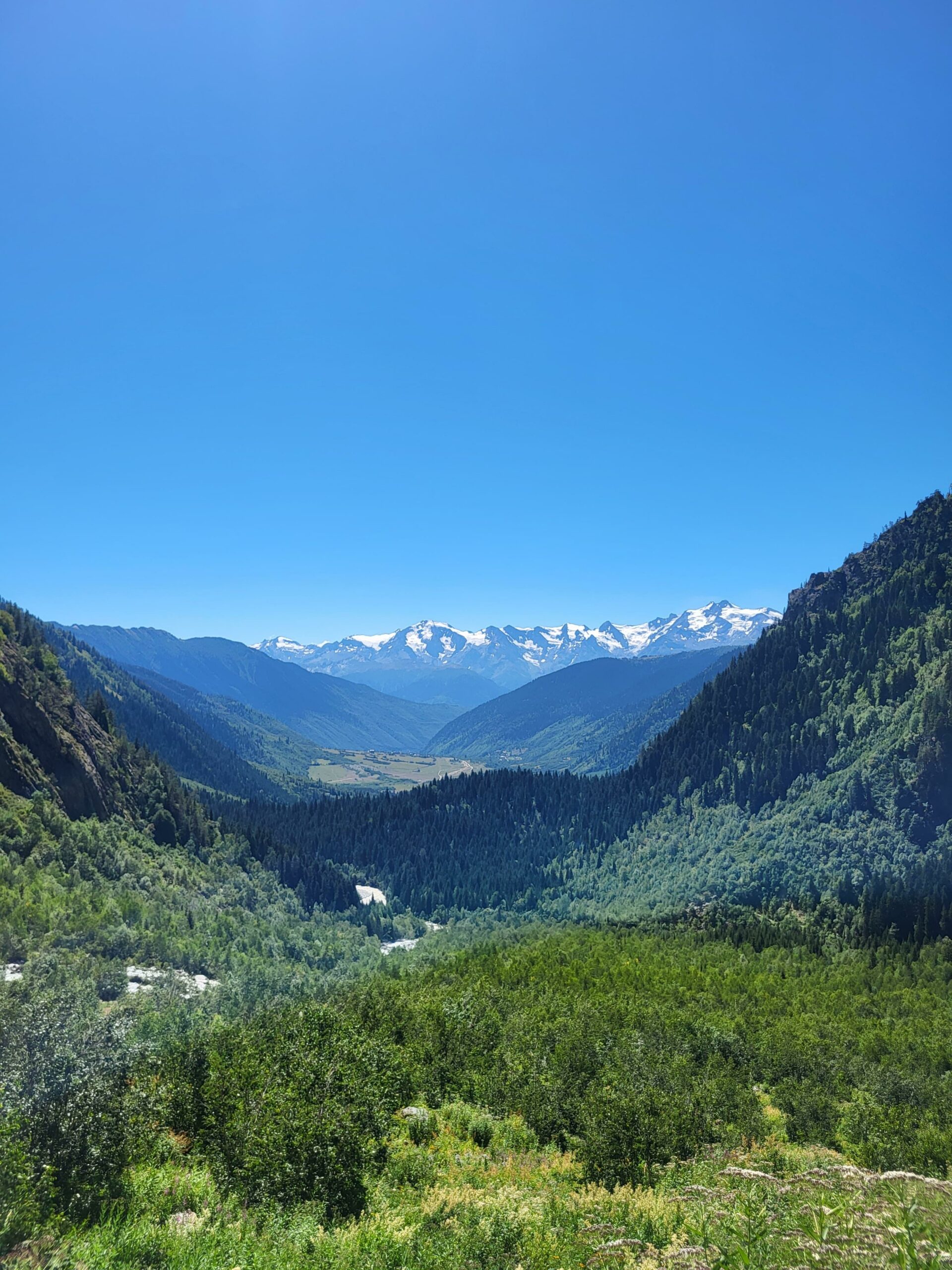 4-Day Svaneti Hiking Tour from Tbilisi