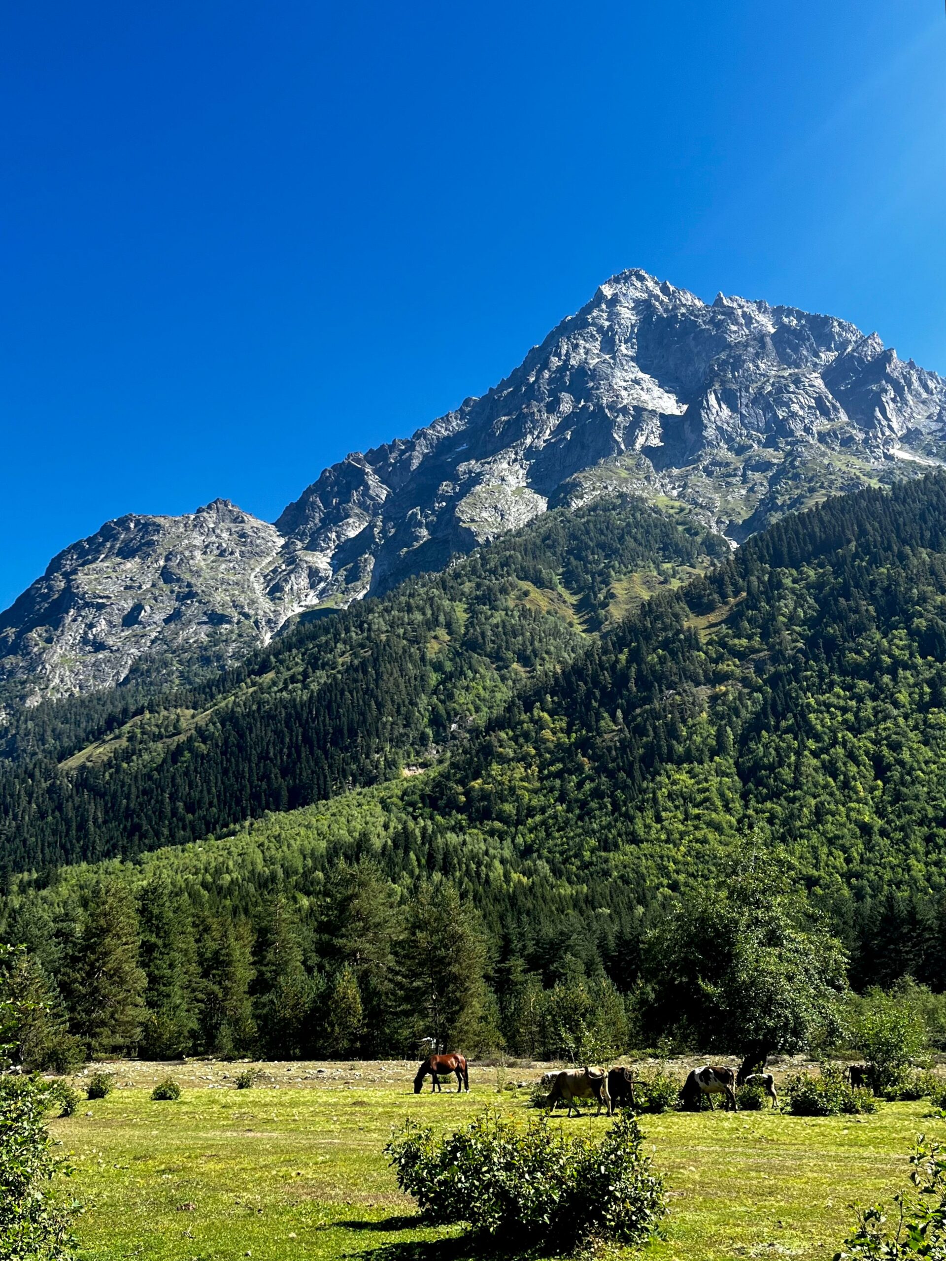 4-Day Svaneti Hiking Tour from Tbilisi
